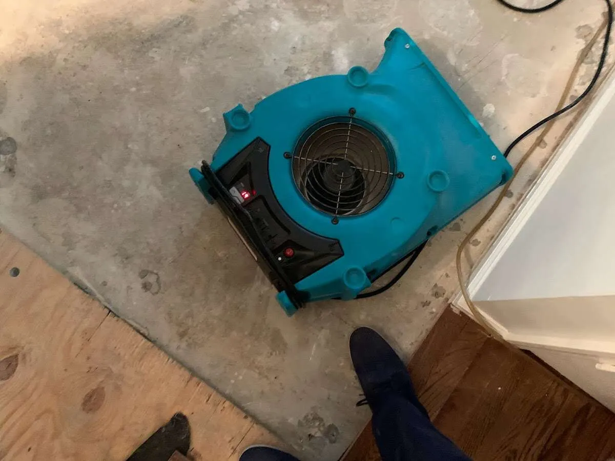 Air mover drying subfloor during Leak Detection & Repair in Frederickson
